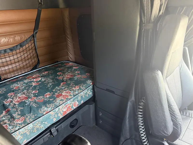2022 Freightliner Cascadia 126 photo 13