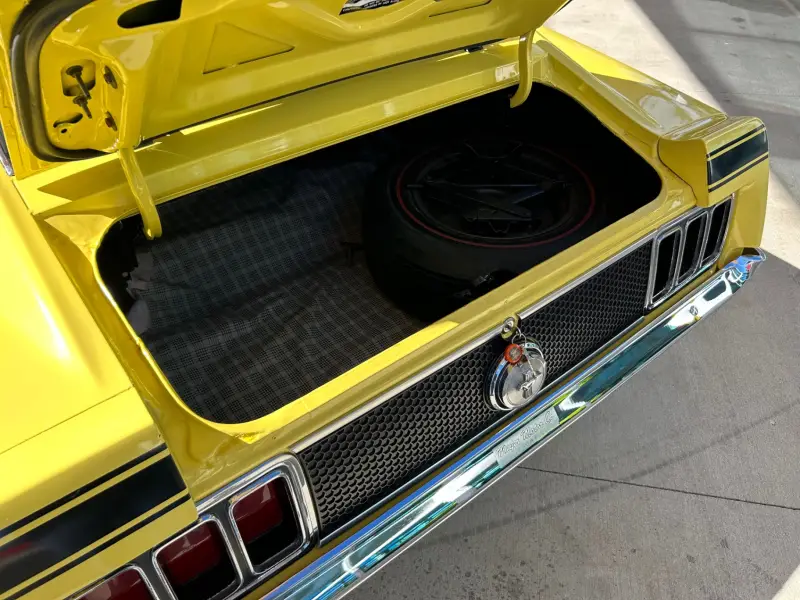 1970 Ford Mustang Mach 1 photo 18