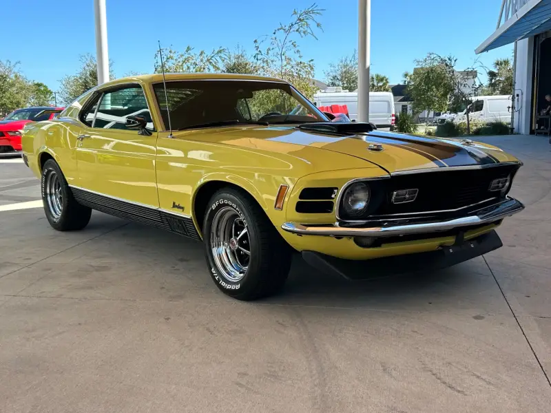 1970 Ford Mustang Mach 1 photo 38