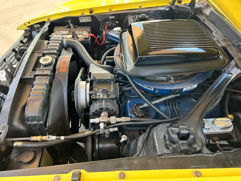1970 Ford Mustang Mach 1 photo 14
