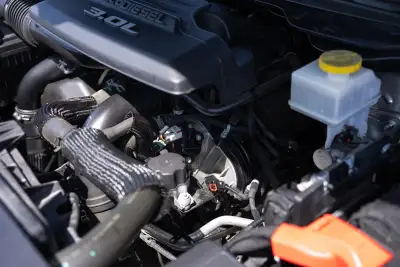 Photo 150